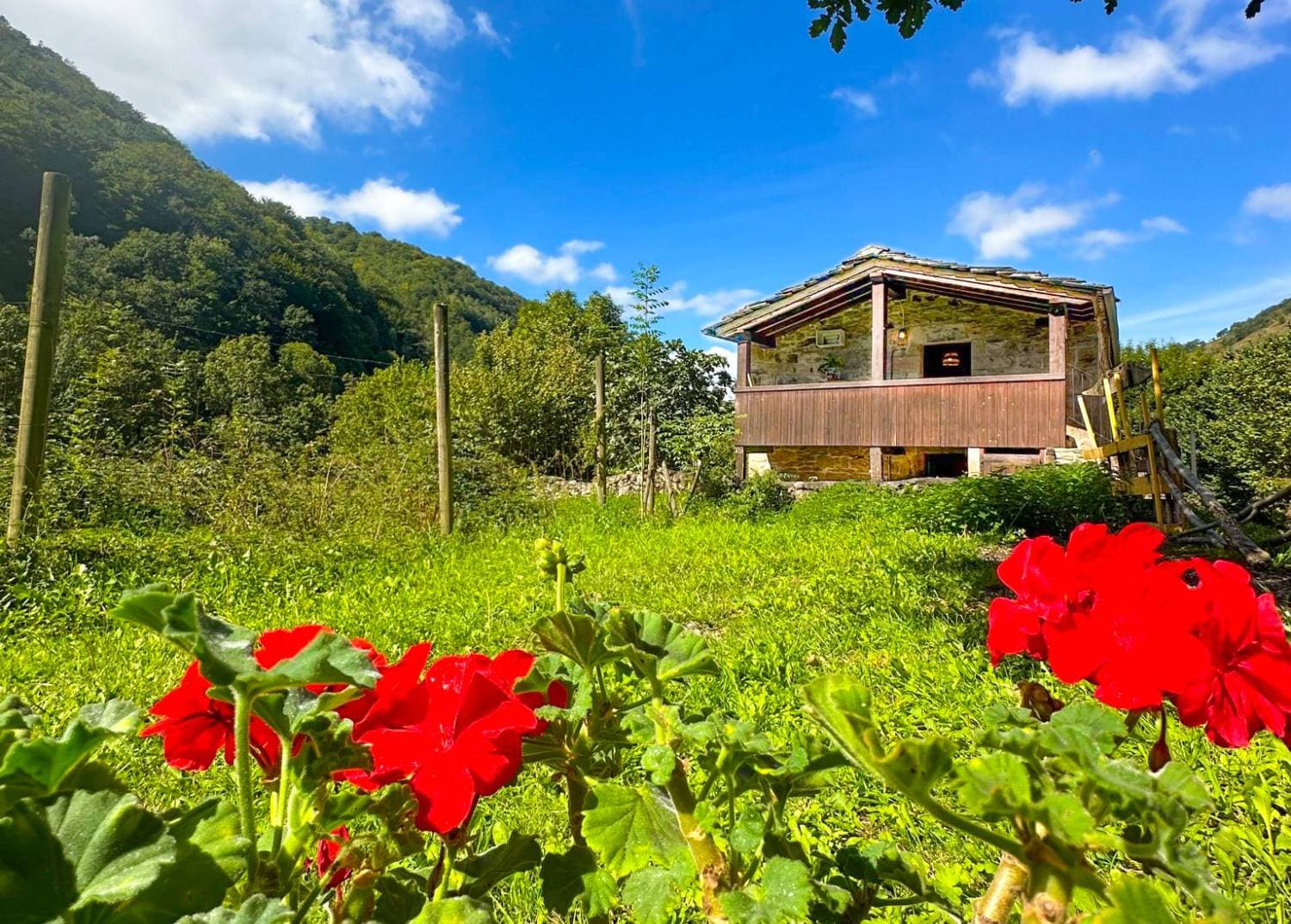 Alojamientos seleccionados
